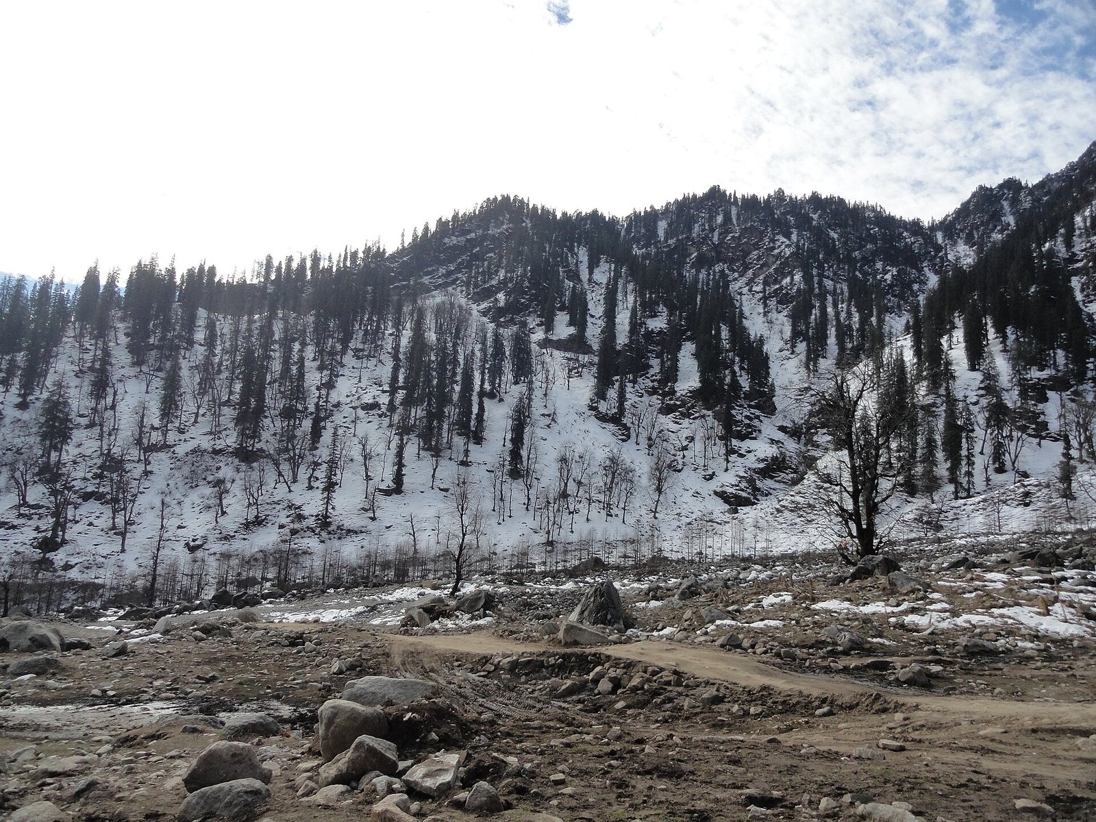Manali