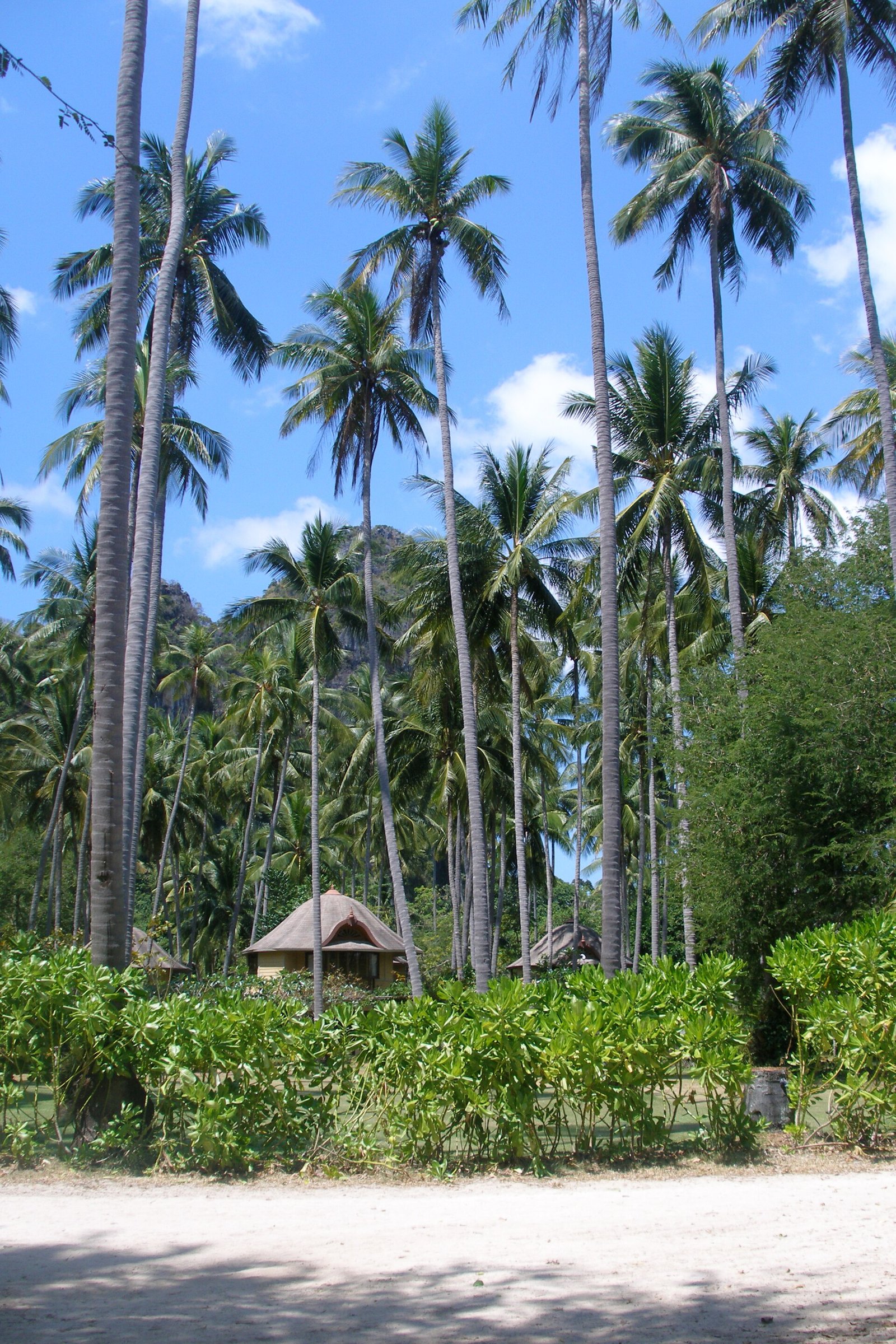 Honeymoon Special — Flat ₹5,000 Off