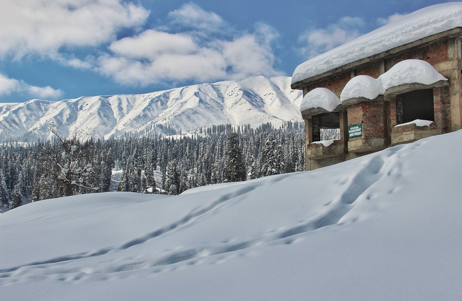 Kashmir Honeymoon Delight