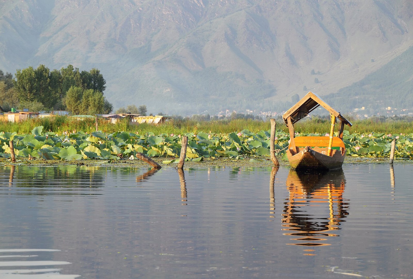 Kashmir Paradise Tour