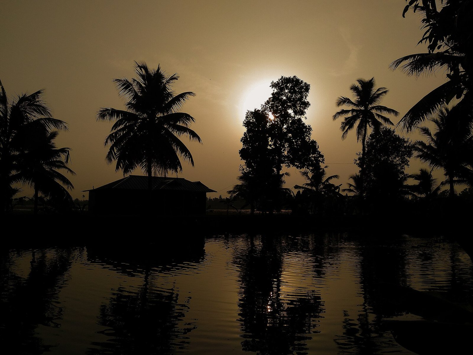 Kerala Backwater Bliss